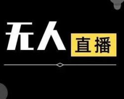 睡后被动收入的无人直播项目