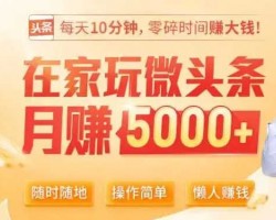 在家玩微头条，1个月赚了5000