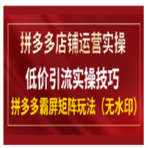 拼多多店铺运营实操，低价引流实操技巧，拼多多霸屏矩阵玩法